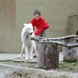 Meet your Posher, Corynne